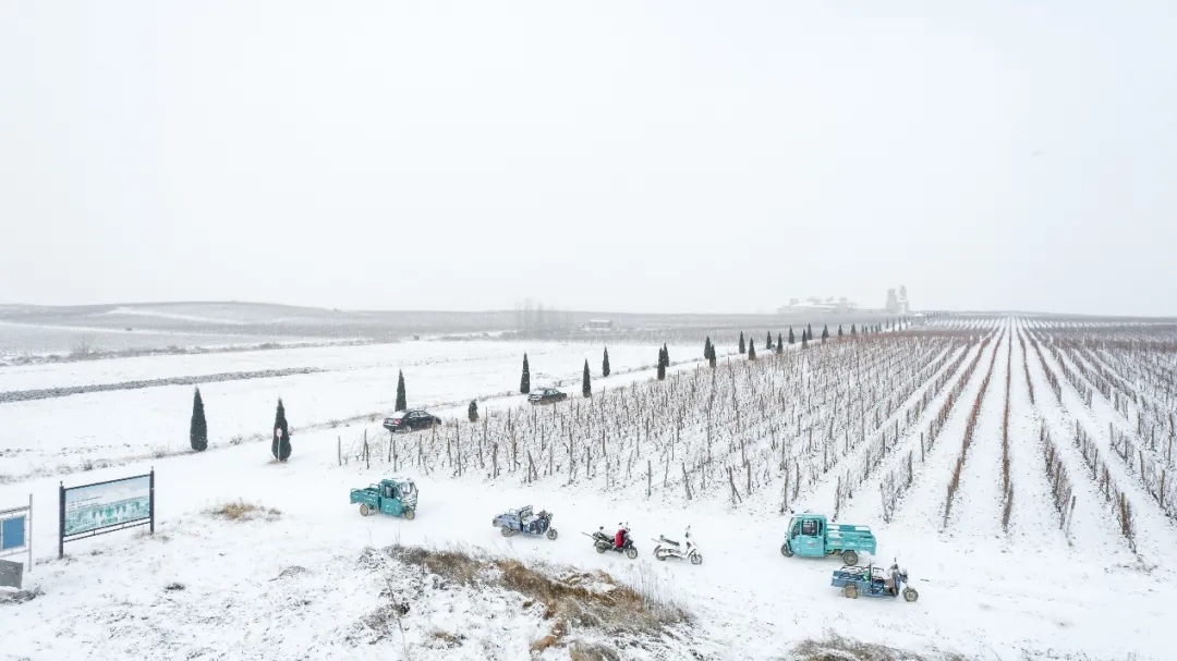 九頂莊園 | 雪，是自然送給大地的情書