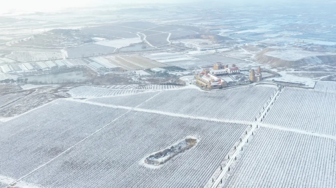 九頂莊園 | 雪，是自然送給大地的情書