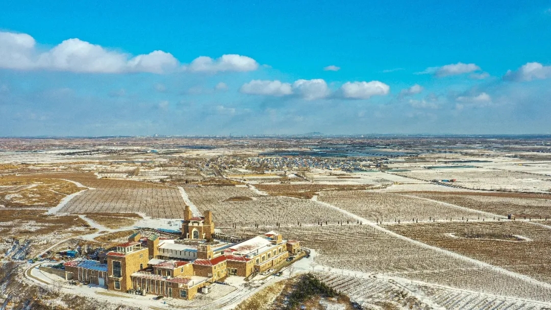 九頂莊園 | 雪，是自然送給大地的情書